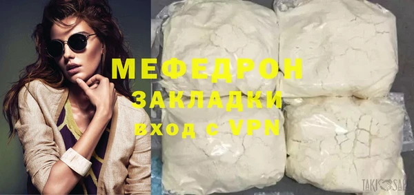 дживик Няндома