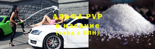 сатива Нягань