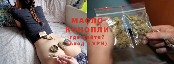 дживик Няндома