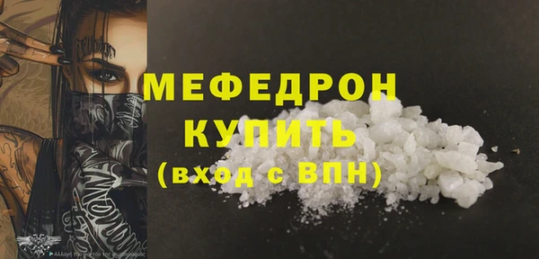 дживик Няндома