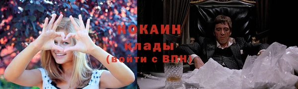 дживик Няндома