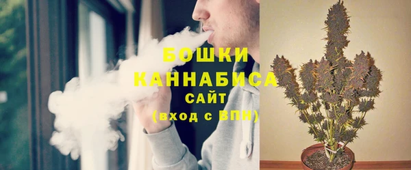сатива Нягань