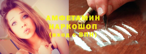 дживик Няндома