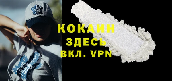 сатива Нягань