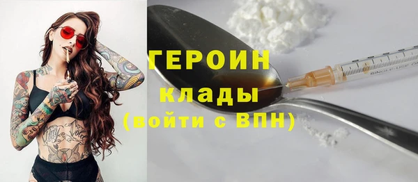 дживик Няндома