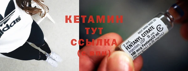 сатива Нягань