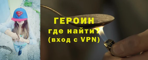 дживик Няндома