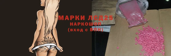 дживик Няндома