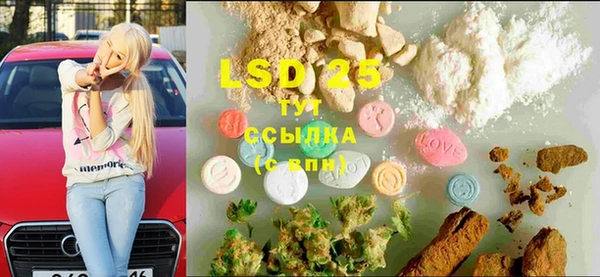 дживик Няндома