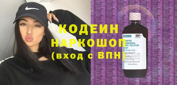 дживик Няндома