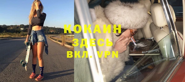 дживик Няндома