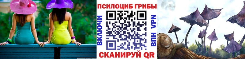 дарк нет Telegram  Темрюк  Галлюциногенные грибы прущие грибы 